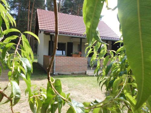 Apartamento Wald&wiesengefl�ster Zechlinerh�tte