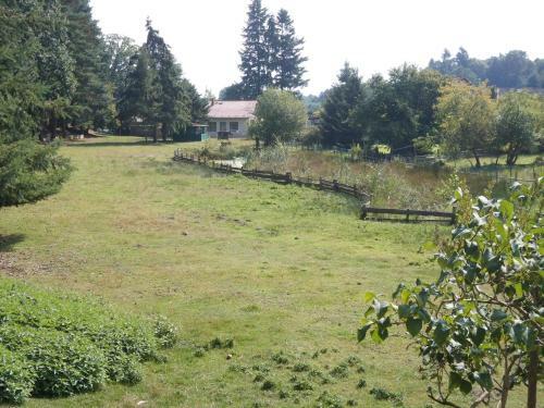 Apartamento Wald&wiesengefl�ster Zechlinerh�tte
