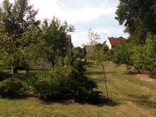 Apartamento Wald&wiesengefl�ster Zechlinerh�tte