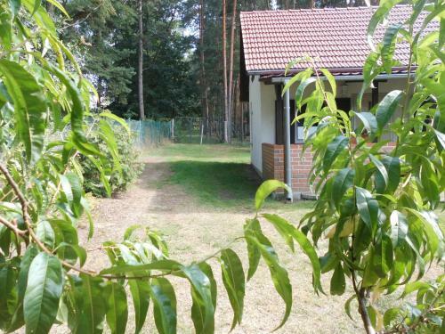 Apartamento Wald&wiesengefl�ster Zechlinerh�tte