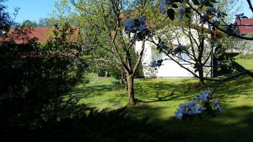 Apartamento Wald&wiesengefl�ster Zechlinerh�tte