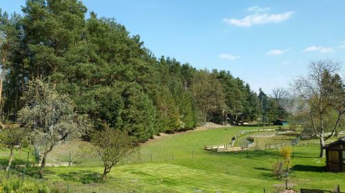 Apartamento Wald&wiesengefl�ster Zechlinerh�tte