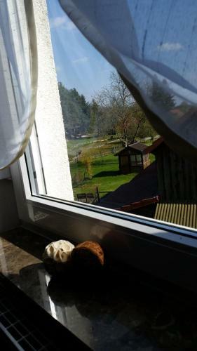 Apartamento Wald&wiesengefl�ster Zechlinerh�tte