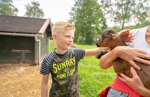 Vakantiepark Bosmeer