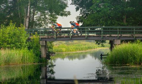Vakantiepark Bosmeer