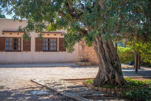 Eivissa House