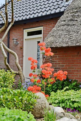 Bed & Breakfast De Opkeamer
