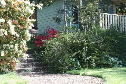 Bed & Breakfast Pine Ridge