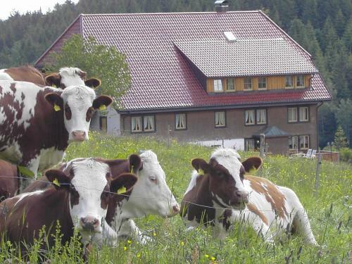 Agroturismo Haus Am Berg