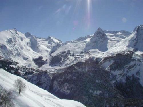 Rental Apartment Le Chalet 15