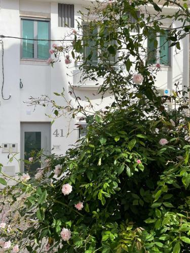 Apartamento Valentinaplace