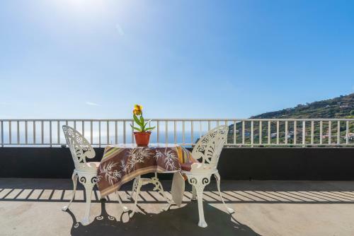 Apartamento Teixeira
