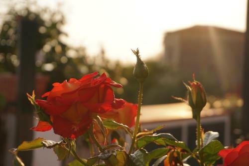 Apartamento Residence San Salvatore