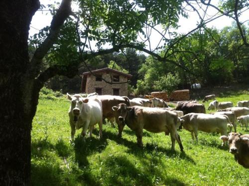 Casa Rural Borda De Calvera