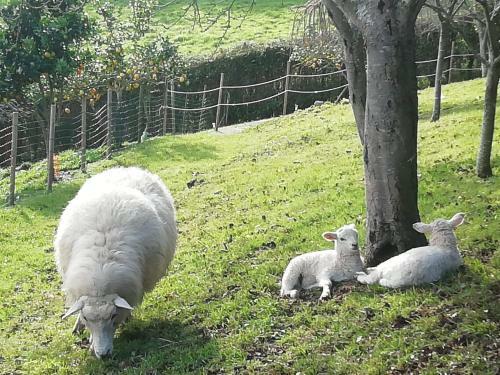 Agroturismo El Oteru I