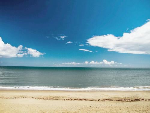 Sea Drift