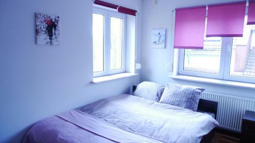 Albergue Leonik
