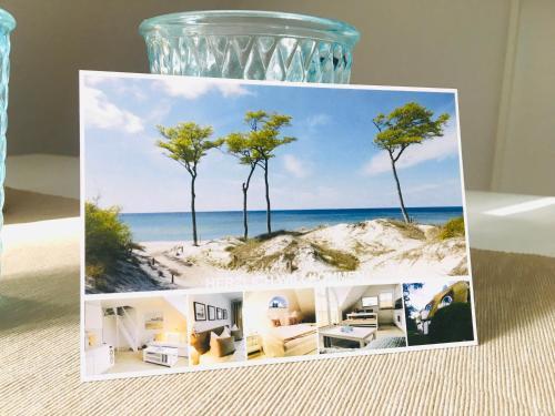 Apartamento Ferienwohnung Schwalbe Wieck/darss
