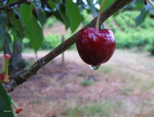 Agroturismo Quinta Do Cerquito