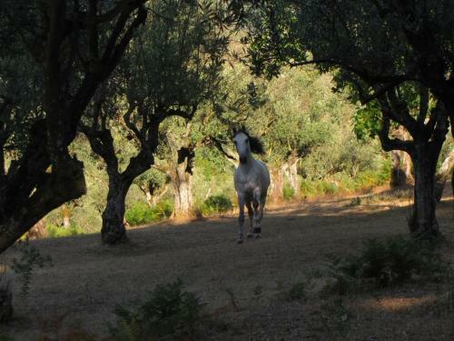 Agroturismo Quinta Do Cerquito