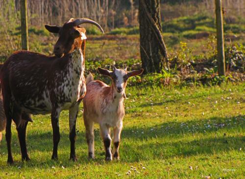 Agroturismo Quinta Do Cerquito
