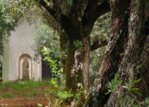 Agroturismo Quinta Do Cerquito