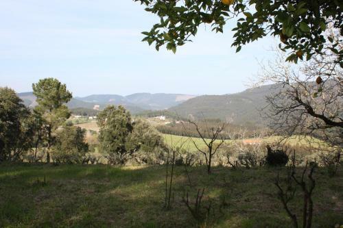 Agroturismo Quinta Do Cerquito