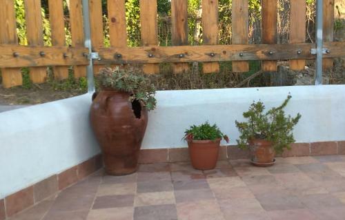 B&B Pompeilog