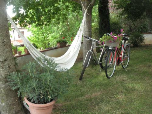 Bed & Breakfast Il Cipresso