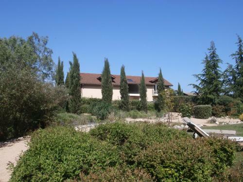 Puravida Lodge