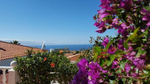 Bella Villa With Incredible Ocean Views