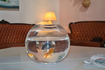B&B Villa Adria