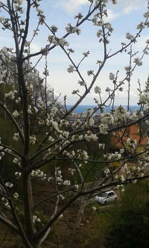 Hostal Ospitalit� In Campagna