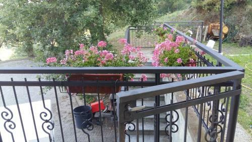Hostal Ospitalit� In Campagna