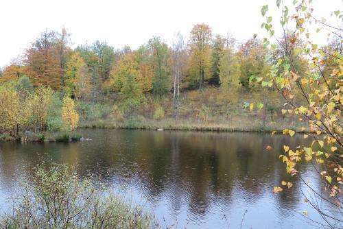 Lodge Ullstorps Stugby