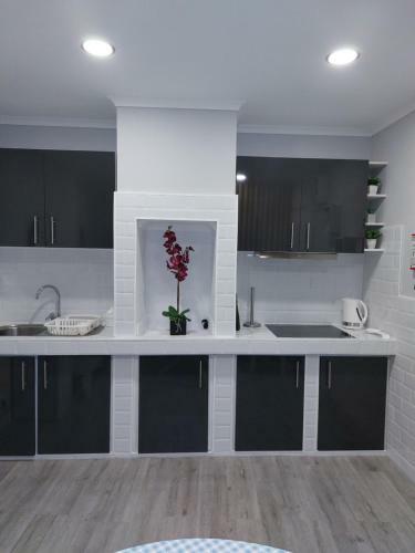 Apartamento Pinneapple Studio