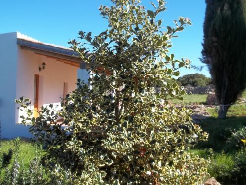 Hostal La Casa Del Poeta