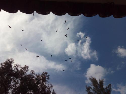 Hotel Hospeder�a Las Buitreras