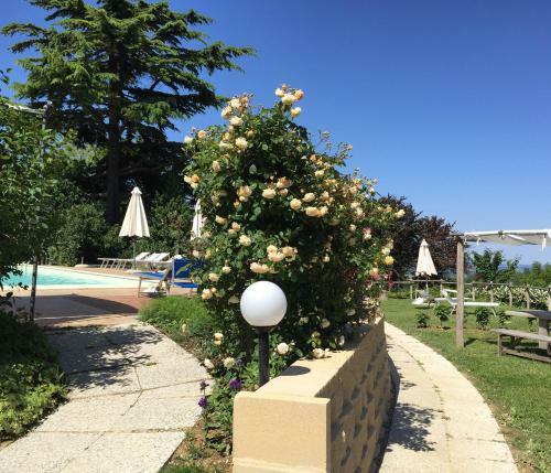 Apartamento Tenuta Montegrande 1893