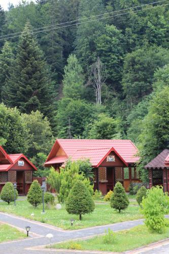 Posada Sokolyne Gnizdo