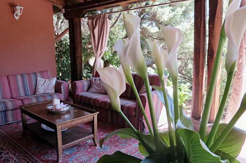 Agroturismo L'orto