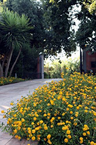Agroturismo L'orto