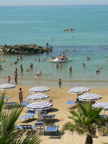 Apartamento Central Palace Malf�
