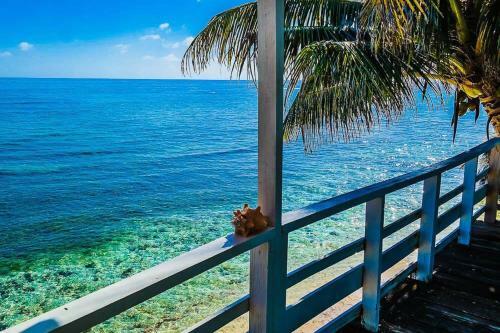 Hotel Ranguana Caye Cabanas