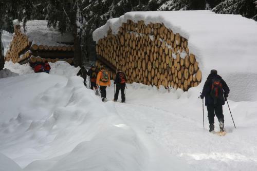 Hotel Gasthof Edelweiss
