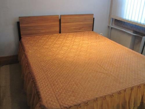 Apartment Pushkinskaya 35