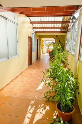 Aparthotel Ros