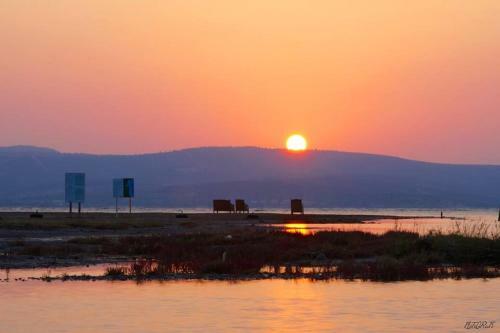 Hotel Urla Surf House