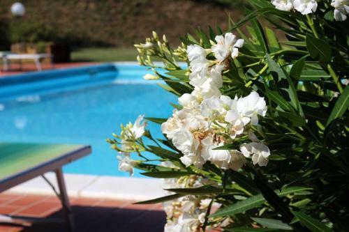 Agroturismo Le Fontane