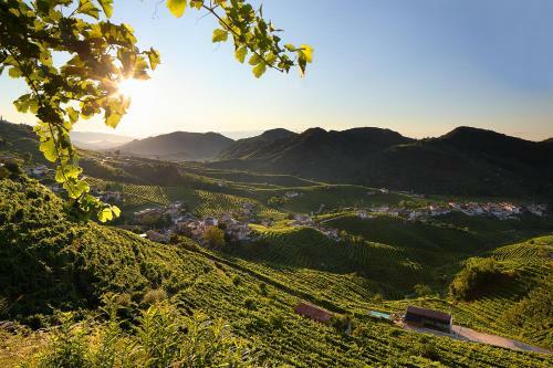 Bed & Breakfast Le Zitelle Di Ron